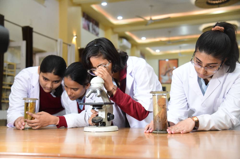Science Stream